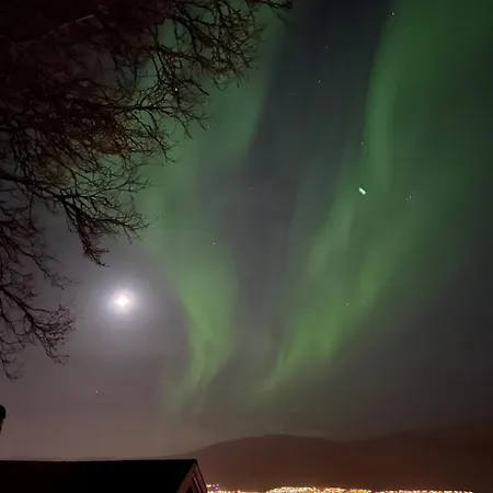 Charming And Undisturbed Oasis In * Tromso